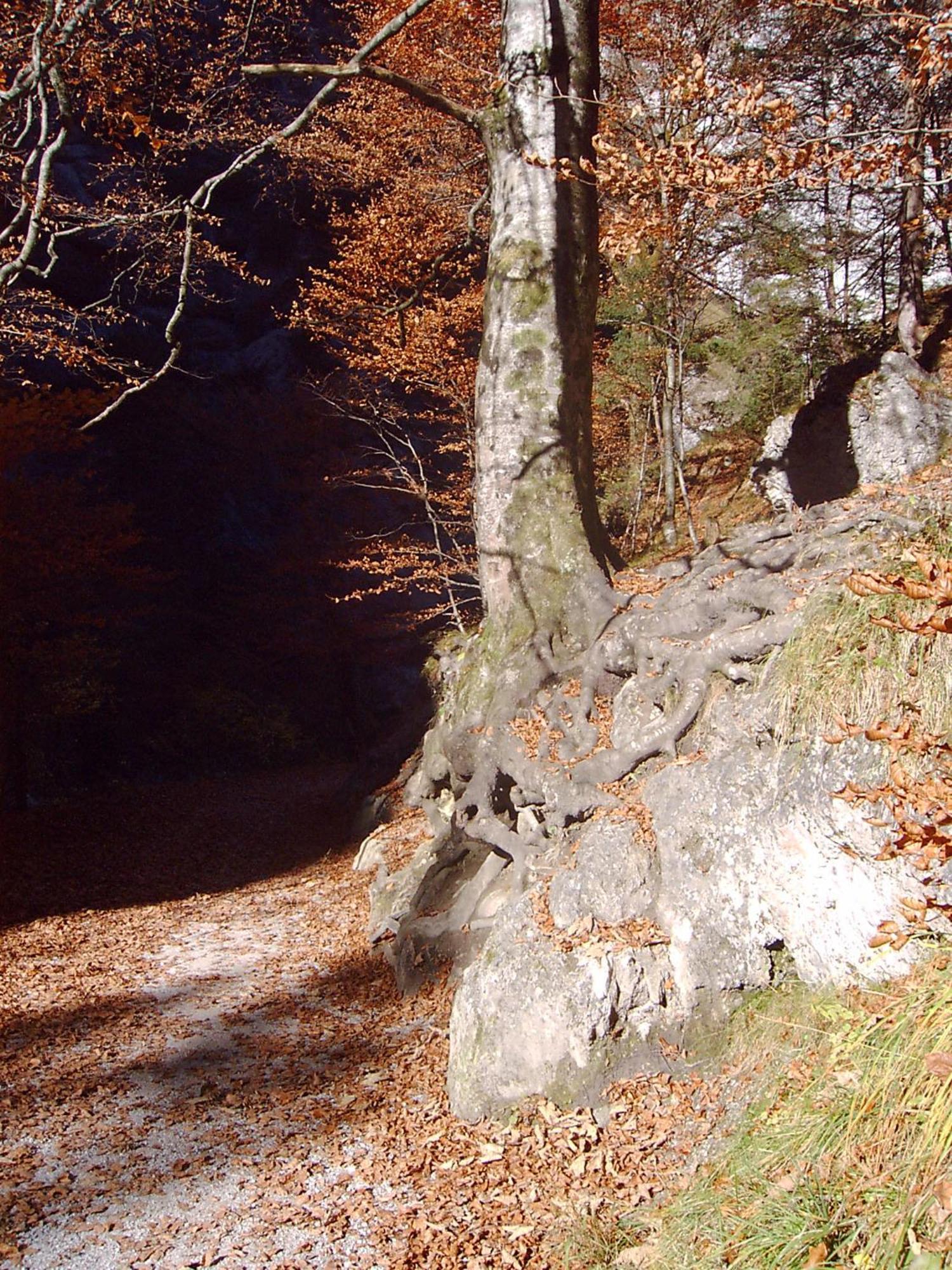 Pension Alpenstern Oberau Zewnętrze zdjęcie